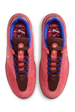 Buty Nike SB Vertebrae