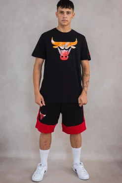 Koszulka New Era Chicago Bulls NBA Sky