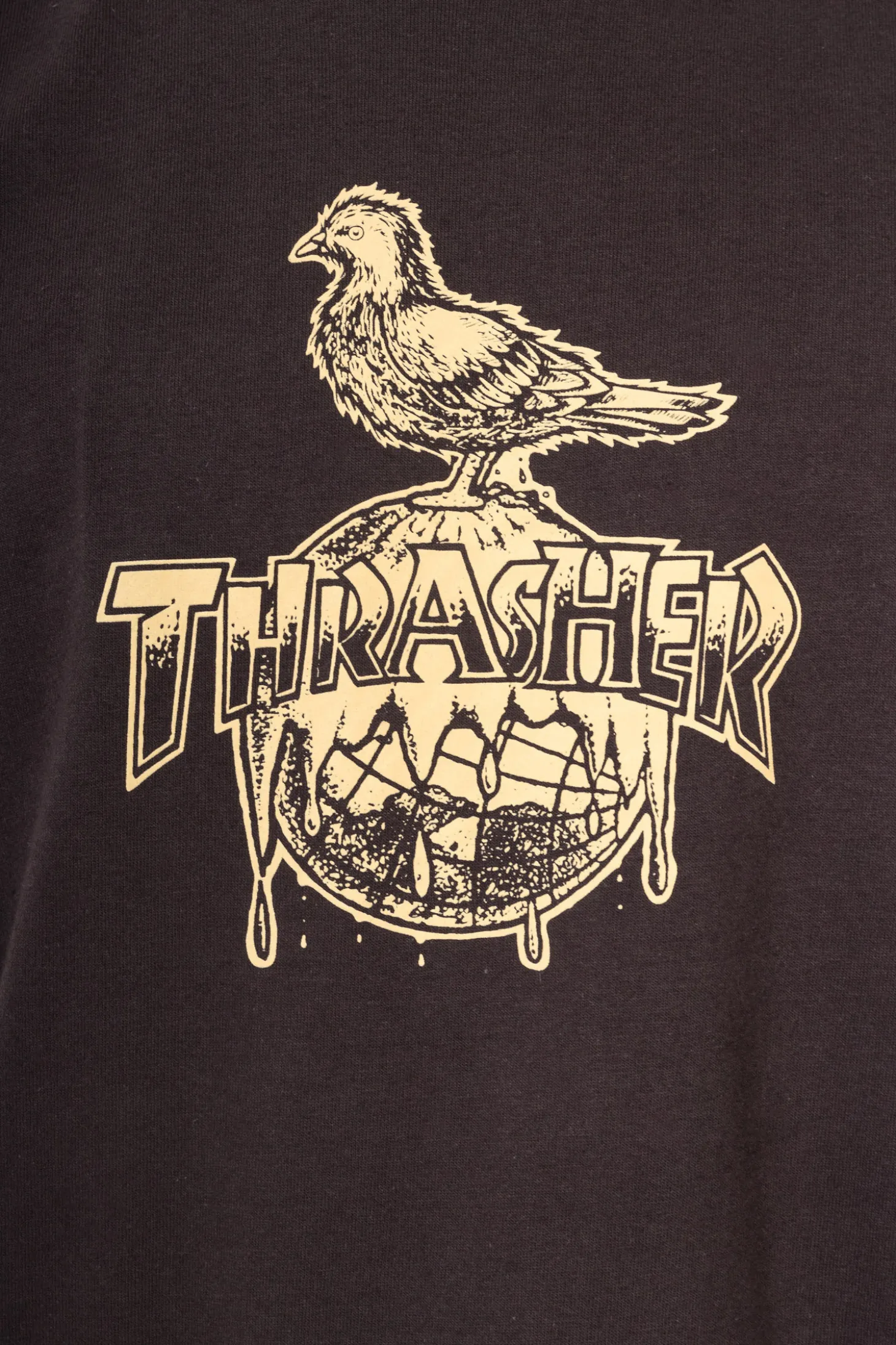 Koszulka Thrasher x Antihero Cover The Earth